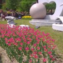 용인 봄 꽃 축제 -1 이미지