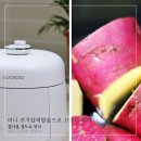 소형 미니 전기압력밥솥으로 고구마 찌니 꿀나올 정도로 맛나