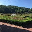 인천대공원(썰매장입구) 이미지