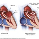 이로운동물병원 이미지