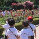 선혜유치원 이미지