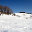 대신목장 이미지