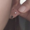 (주)왕왕 이미지