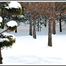 안산 식물원 이미지