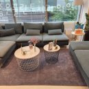 참플란트치과의원 이미지