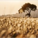 좋은자리 이미지