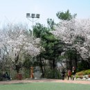 수진 공원 이미지