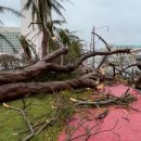 서진슈퍼 이미지