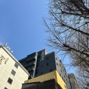 위고인 호스텔 이미지