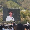 와이솔루션스 | 2024 대청호 대덕 뮤직 페스티벌