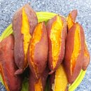 엔도르핀농장 이미지