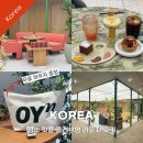 강남현대상용써비스 | 올리브영 N 성수 라운지 후기｜VIP 골드·블랙 등급 혜택 총정리 + 파우치 증정