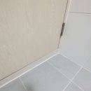 숲속반디채 이미지