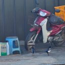 백령파출소 이미지