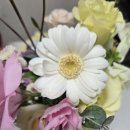 홈패션(초급반) 이미지