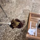커피앤쓸 | [내돈내산::은계지구카페] 은계지구 두바이 케이크를 맛볼수 있는 "해례커피앤도브리베이커리" 솔직후기