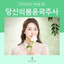 당신의봄의원 이미지