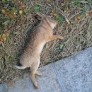 눈길등산로 이미지