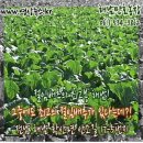 만호농장 이미지