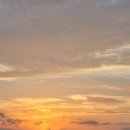 파람스테이 이미지