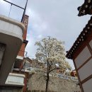 삼청동 코리아 게스트하우스