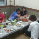 해오름풀꽃 Daum카페