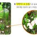금풍농장 이미지