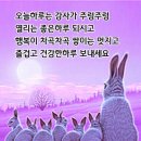 수지맞은 날 이미지