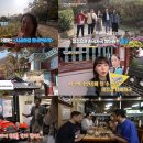 조명여행사 이미지