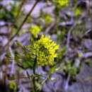 수분령휴게소 이미지