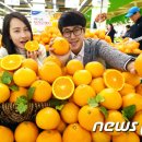 오렌지유통 - 5675 | 오렌지유통