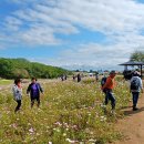 하늘공원 이미지