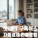 THE PC | 챗GPT 자동결제 환불 후기 PC 버전