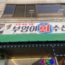 부엉이회수산 네이버블로그