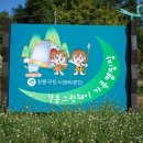 강동오토캠핑장 이미지