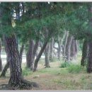 주오네