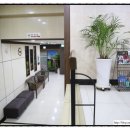 레몬스크린골프 이미지