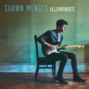 Shawn Mendes - There's Nothing Holdin' Me Back 이미지