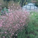 강의7동 이미지