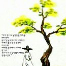 무주구천동캠핑장 이미지