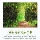 걷는기쁨
