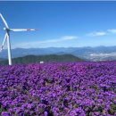 거창-위천-4 이미지