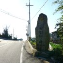 세포삼거리 이미지