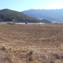 상업용 46 이미지