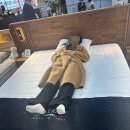 참좋은 원목가구 | 신혼부부 침대 매트리스, 프레임 추천 :: 마테라시 몬테까를로 (비타민원목가구)