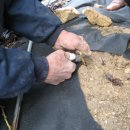 무주 농원 이미지