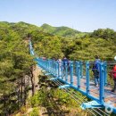 원주 - 경주시 | 원주