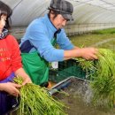 재기농장 이미지