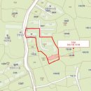 신성여자중학교 Daum카페