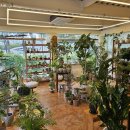 봉황역(3번출구1) 이미지